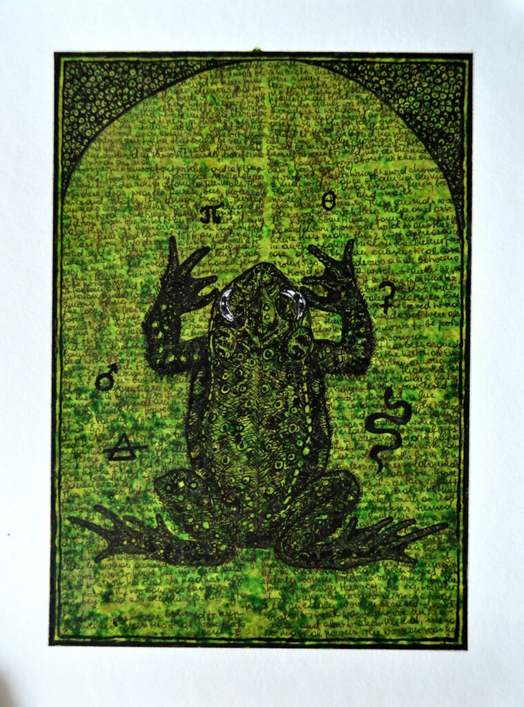 TOAD